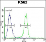 MYO19 Antibody (Center)